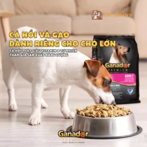 Hạt Ganador Adult Cho Chó Nhiều Vị Loại 3 Kg