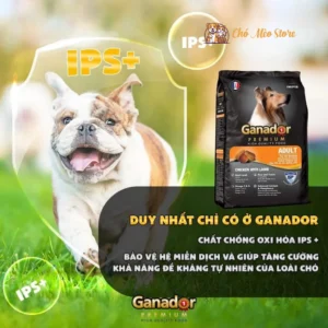 Hạt Ganador Adult Cho Chó Nhiều Vị Loại 3 Kg