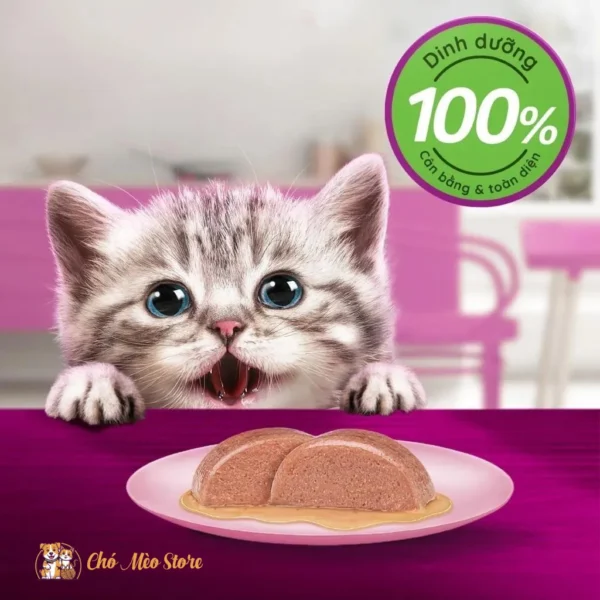 Pate Cho Mèo Whiskas Dạng Gói 80G