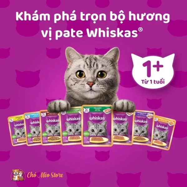 Pate Cho Mèo Whiskas Dạng Gói 80G