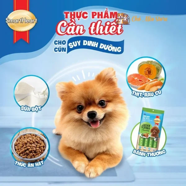 Súp Thưởng SmartHeart Creamy Cho Chó Túi 60g 4 Tuýp Thái lan